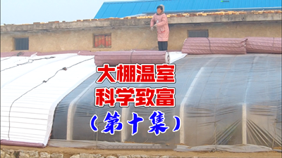 青島風全溫室配套有限公司